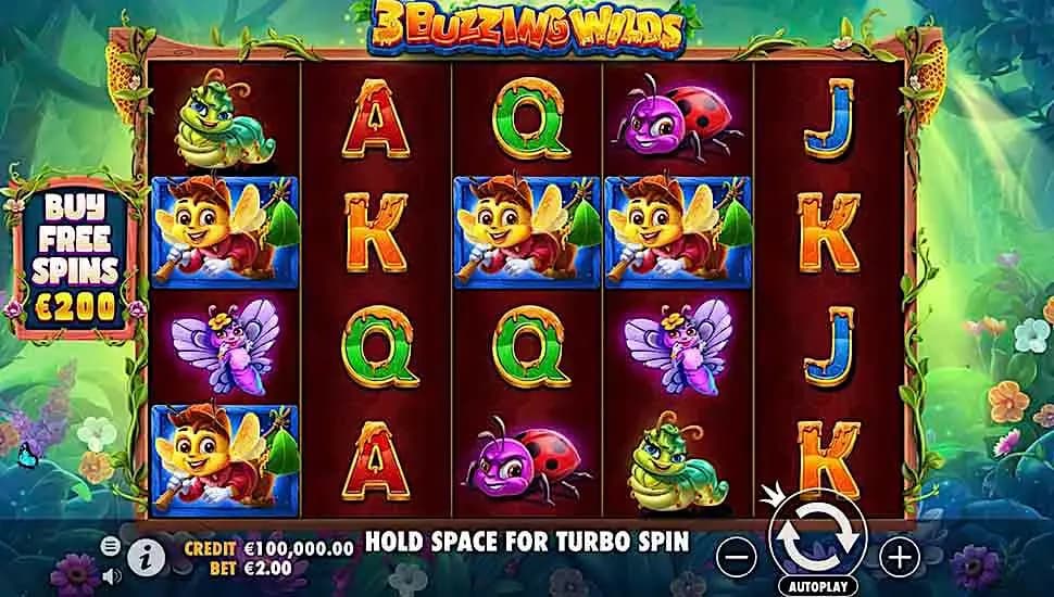 3 Buzzing Wilds