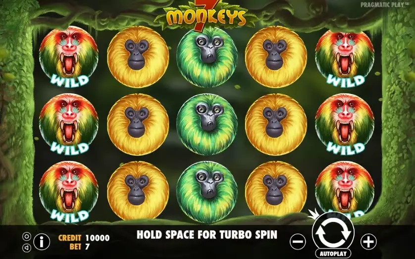 7 Monkeys