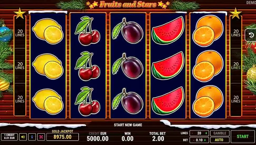 Fruits and Stars Christmas