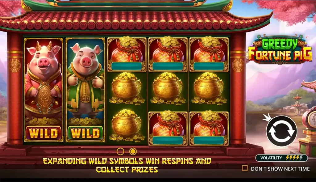 Greedy Fortune Pig