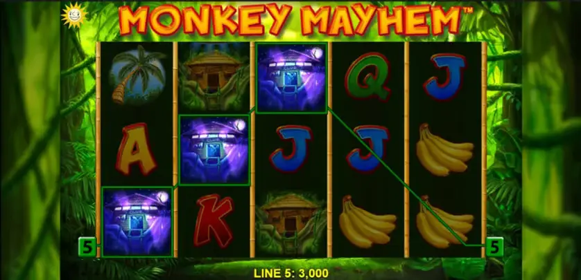 Monkey Mayhem