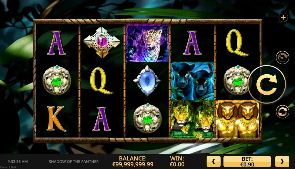 Shadow of the Panther