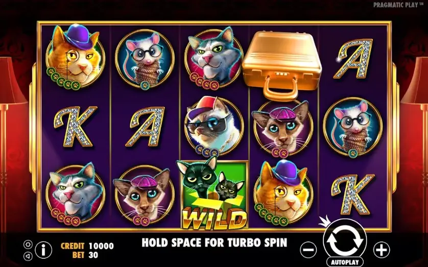 The Catfather Part II