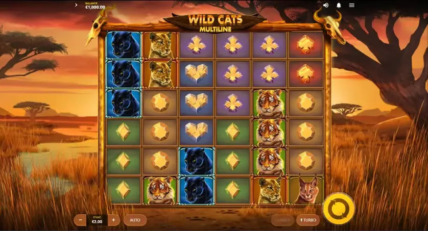 Wild Cats Multiline