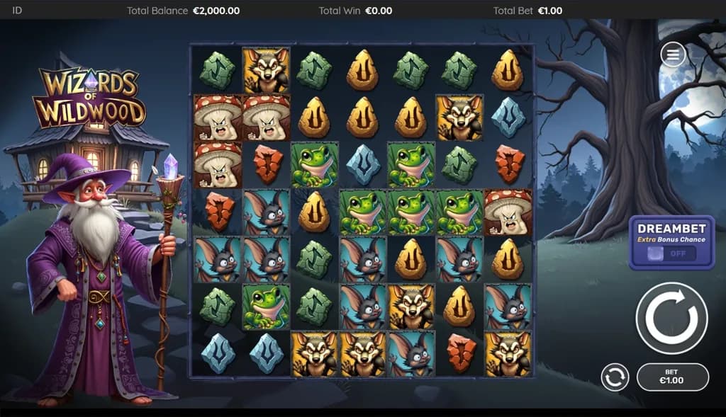 Wizards of Wild Wood